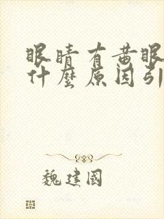 眼睛有黄眼屎是什么原因引起的