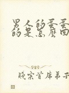 男人的蛋蛋凉凉的是怎么回事