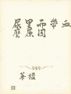 尿里面带血是什么原因