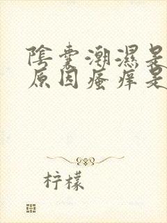 阴囊潮湿是什么原因瘙痒是怎么回事