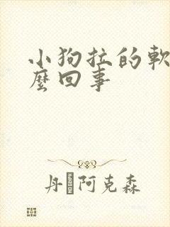 小狗拉的软便怎么回事