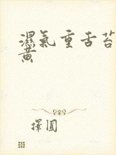 湿气重舌苔白厚黄