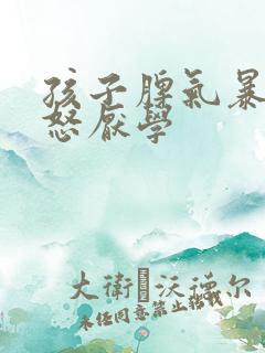 孩子脾气暴躁易怒厌学