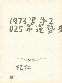 1973男牛2025年运势及运程