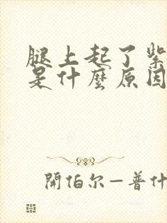 腿上起了紫疙瘩是什么原因