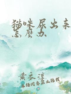 猫咪尿出来有血怎么办