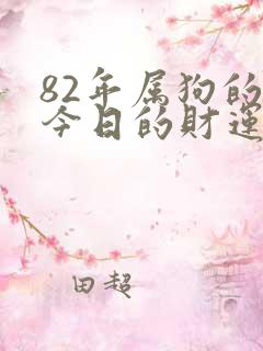 82年属狗的人今日的财运怎么样