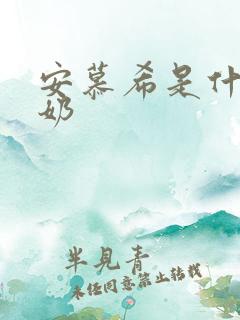 安慕希是什么酸奶