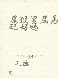 属猴男属马女婚配好吗