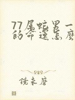 77属蛇男一生的命运怎么样