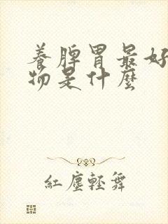 养脾胃最好的食物是什么