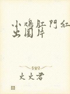 小鸡肛门红肿突出图片