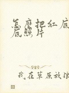 怎么把红底转蓝底照片