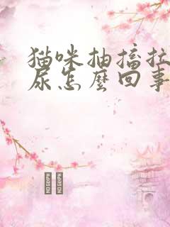 猫咪抽搐拉屎拉尿怎么回事?