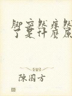 脚突然痒然后肿了是什么原因