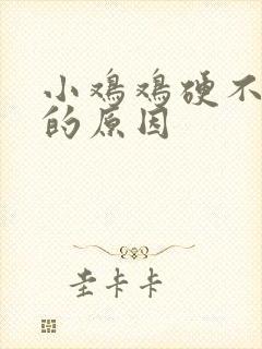 小鸡鸡硬不起来的原因