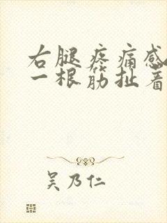 右腿疼痛感觉有一根筋扯着疼