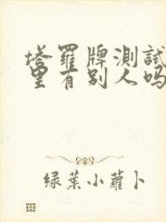 塔罗牌测试他心里有别人吗