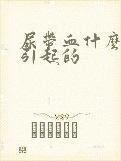 尿带血什么原因引起的