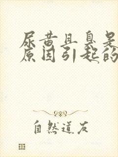 尿黄且臭是什么原因引起的