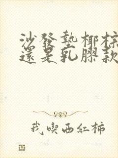 沙发垫椰棕款好还是乳胶款好