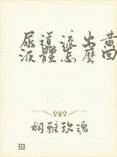 尿道流出黄色的液体怎么回事