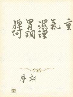 脾胃湿气重该如何调理