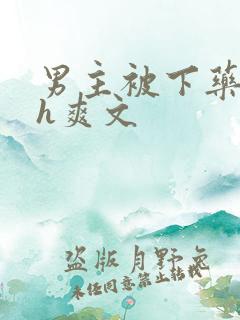 男主被下药后高h爽文