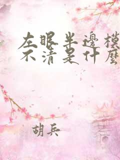 左眼半边模糊看不清是什么情况