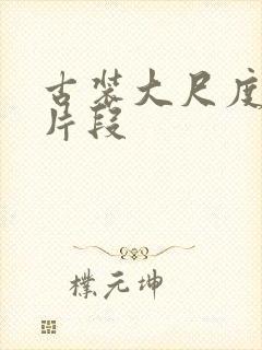 古装大尺度床戏片段