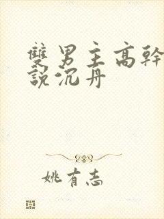 双男主高干文小说沉舟