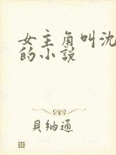 女主角叫沈寂笙的小说