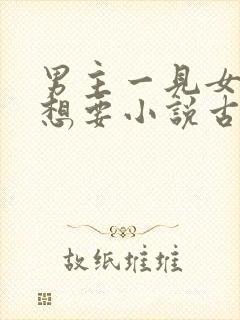 男主一见女主就想要小说古言