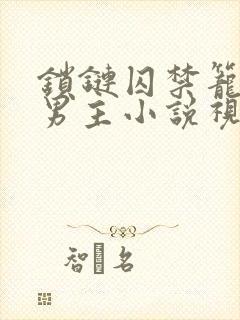 锁链囚禁笼子双男主小说视频