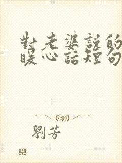 对老婆说的情话暖心话短句