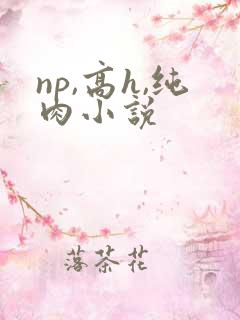 np,高h,纯肉小说