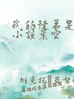 我的徒弟是女帝小说叶空