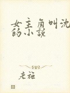 女主角叫沈傲雪的小说