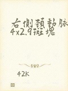 右侧颈动脉9.4x2.9斑块