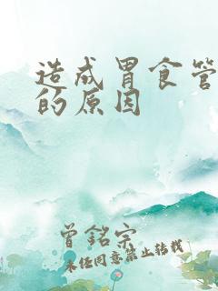 造成胃食管反流的原因