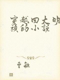 穿越回大明当崇祯的小说