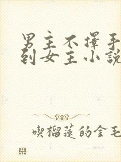 男主不择手段得到女主小说