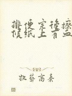 排便完后擦的时候纸上有血