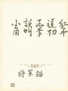 小说正道红途主角叫李初年