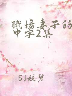 职场妻子的背叛中字2集