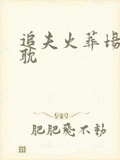 追夫火葬场的原耽