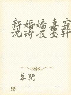 新婚娇妻宠上瘾沈琦夜墨轩