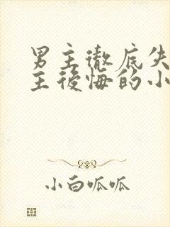 男主彻底失去女主后悔的小说