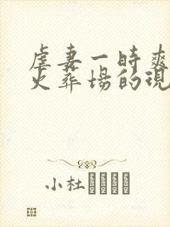 虐妻一时爽追妻火葬场的现言