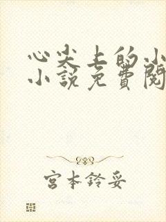 心尖上的小夫郎小说免费阅读无弹窗全文